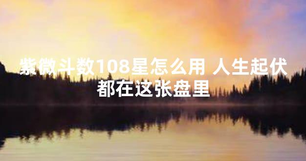 紫微斗数108星怎么用 人生起伏都在这张盘里